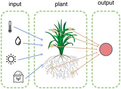 Editorial: Plant sensing and computing - PlantComp 2022